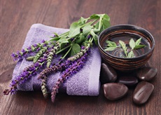 Եղեսպակ դեղատու - Шалфей лекарственный - Salvia officinalis